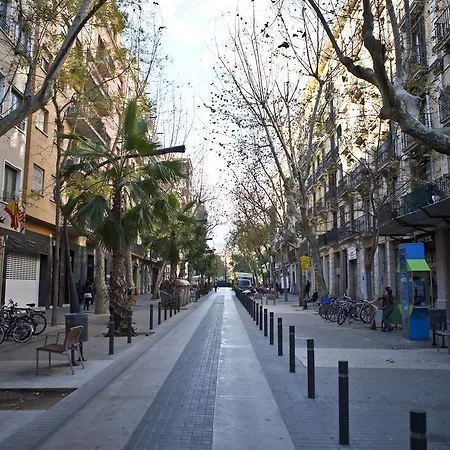 Molino Fresh-2